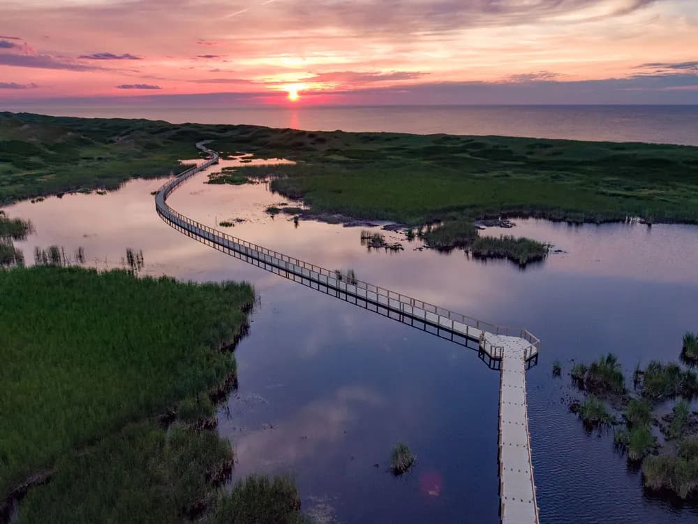 Aerial view of a long EZ Dock floating walkway curving across marsh water at sunset