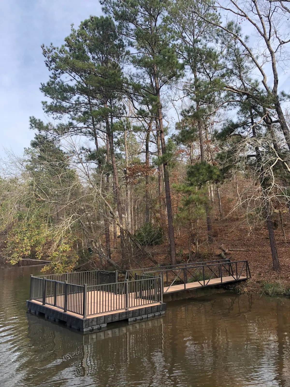 Aluminum T-shaped floating dock with a bronze picket railing on a quiet, wooded pond.